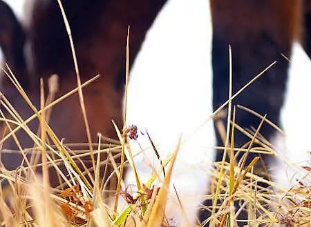 Apartment The Catalogne *