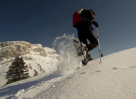 The Catalogne Apartment
